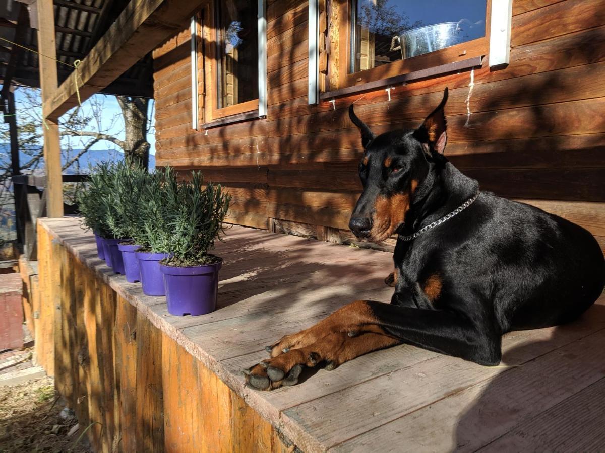 Lavender Valley Perekrestnoye Zewnętrze zdjęcie
