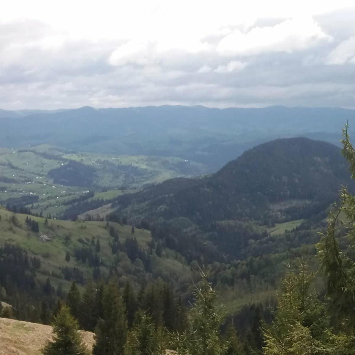 Lavender Valley Perekrestnoye Pokój zdjęcie